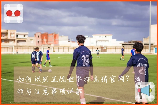 如何识别正规世界杯竞猜官网？流程与注意事项详解