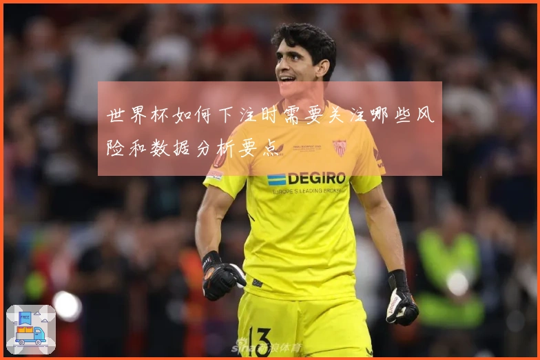 世界杯如何下注时需要关注哪些风险和数据分析要点