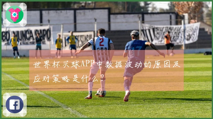 世界杯买球APP中数据波动的原因及应对策略是什么？