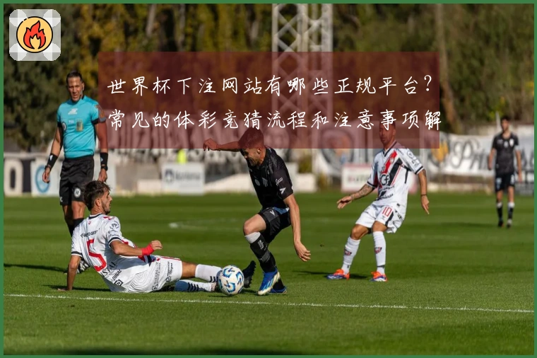 世界杯下注网站有哪些正规平台？常见的体彩竞猜流程和注意事项解析