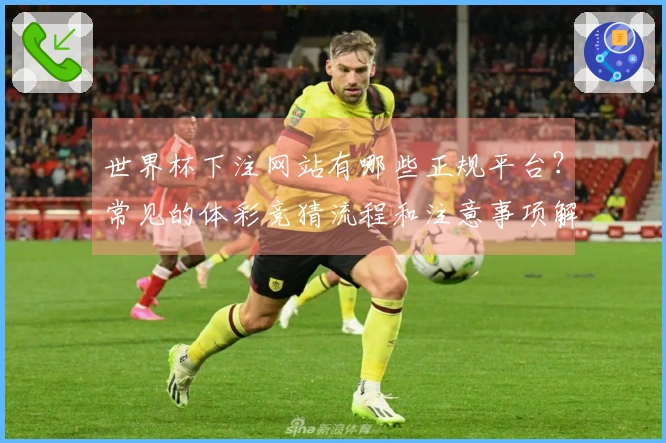 世界杯下注网站有哪些正规平台？常见的体彩竞猜流程和注意事项解析