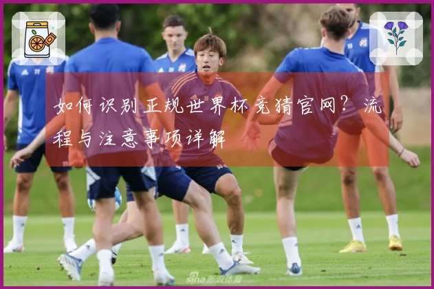 如何识别正规世界杯竞猜官网?流程与注意事项详解