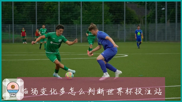 临场变化多怎么判断世界杯投注站的可靠性和应对策略