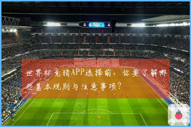 世界杯竞猜APP选择前，你要了解哪些基本规则与注意事项？