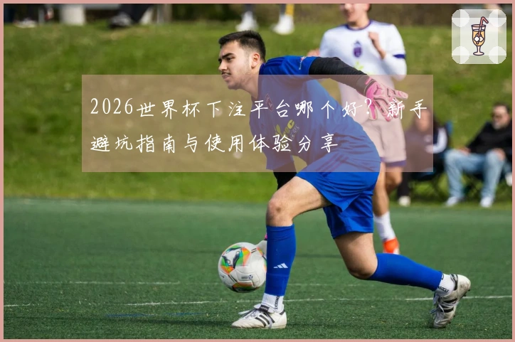 2026世界杯下注平台哪个好？新手避坑指南与使用体验分享