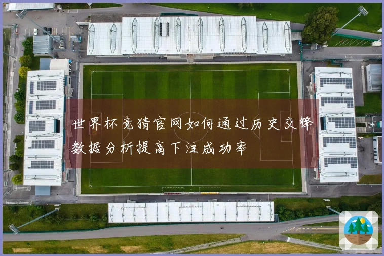 世界杯竞猜官网如何通过历史交锋数据分析提高下注成功率