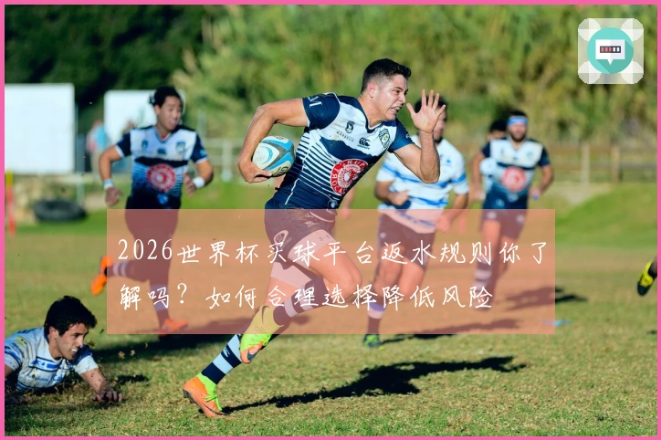 2026世界杯买球平台返水规则你了解吗？如何合理选择降低风险