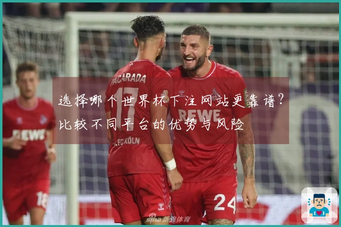 选择哪个世界杯下注网站更靠谱？比较不同平台的优势与风险