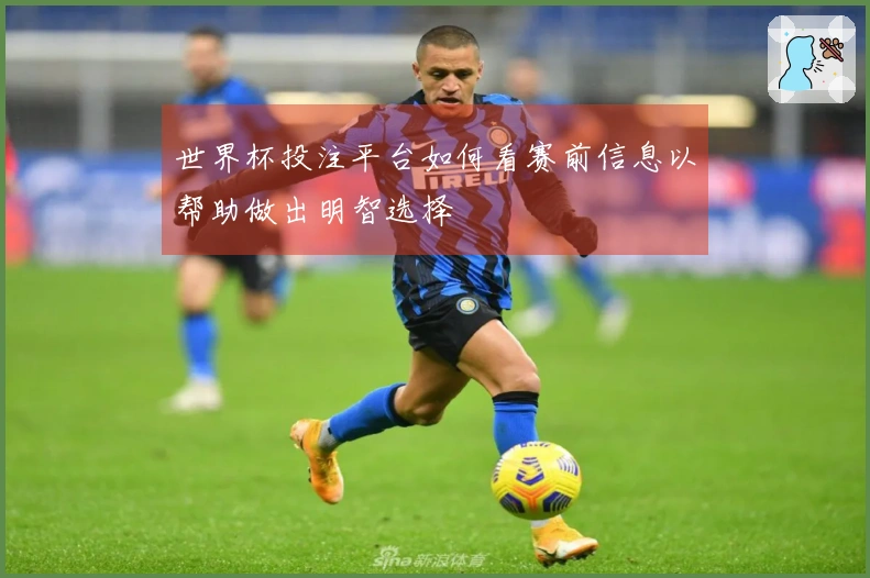 世界杯投注平台如何看赛前信息以帮助做出明智选择